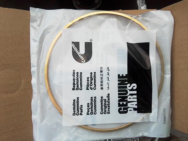 91羞羞网站入口推土机缸垫